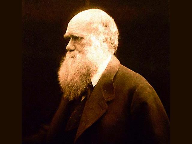 Charles Darwin, Albumen print, 1868 wallpaper