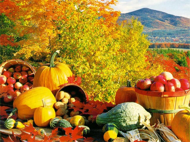 Fall Harvest wallpaper