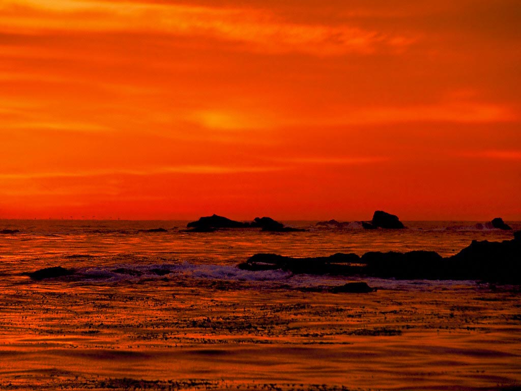 Sunset at Point Lobos California wallpaper