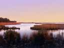 BlackWater National Wildlife Refuge Marsh