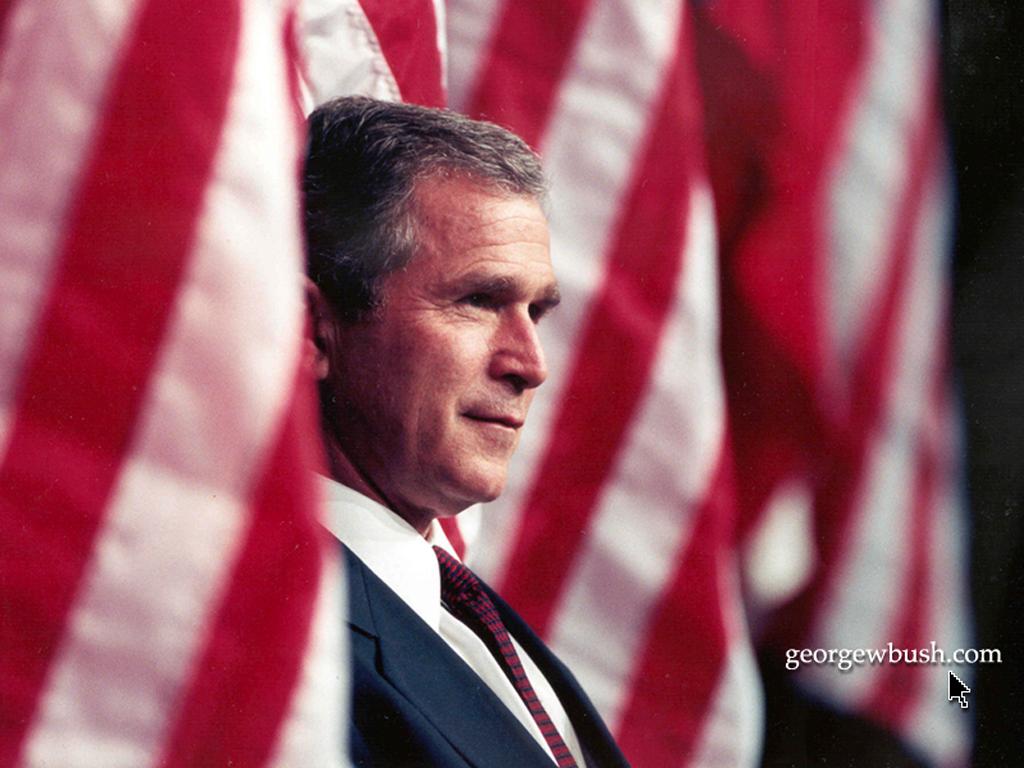 Bush with Flags wallpaper